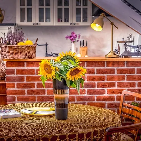 Mazurska Arkadia Apartment *